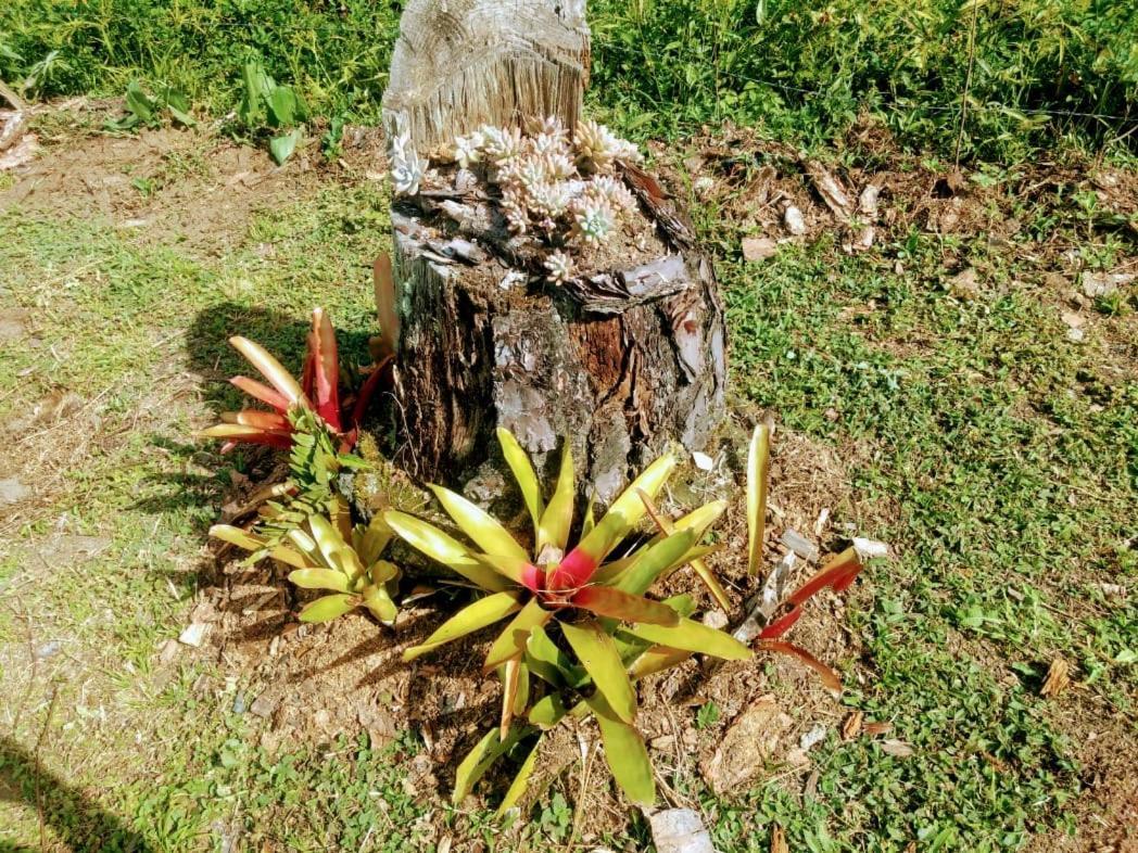 Chale Vale Das Flores - Visconde De Maua Rj Exteriör bild